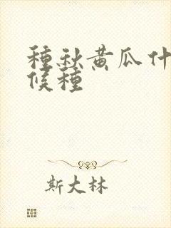 种秋黄瓜什么时候种