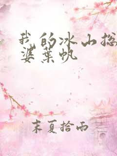 我的冰山总裁老婆叶帆