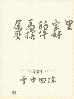 属马的家里摆什么摆件好