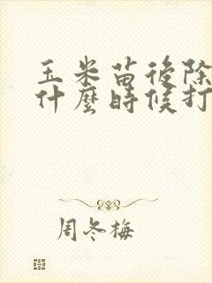 玉米苗后除草剂什么时候打