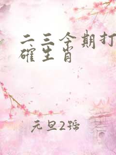 二三今期打一准确生肖