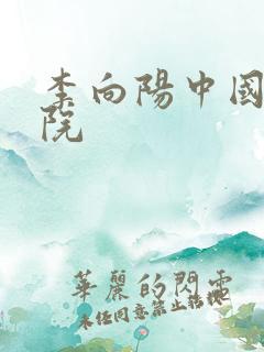 李向阳中国社科院