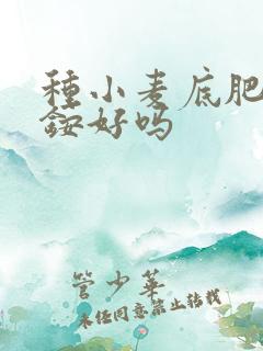 种小麦底肥用二铵好吗