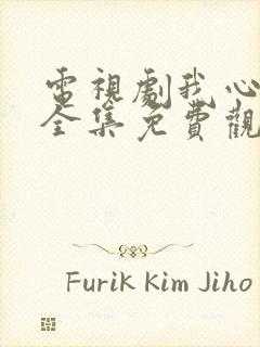 电视剧我心灿烂全集免费观看