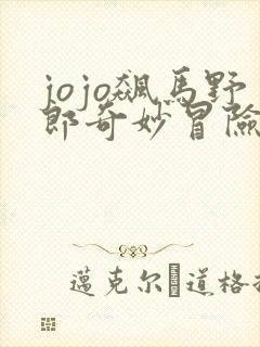 jojo飙马野郎奇妙冒险