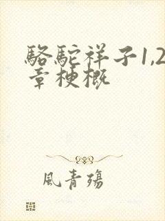 骆驼祥子1,2章梗概