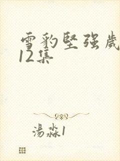 雪豹坚强岁月第12集