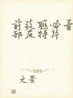 前苏联必看15部反特片