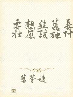 要想韭菜长得粗壮应该施什么肥