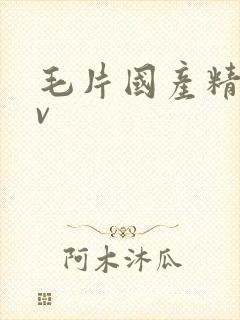毛片国产精品av