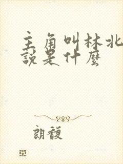 主角叫林北的小说是什么