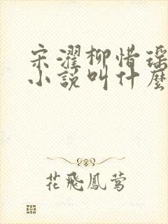 宋濯柳惜瑶原著小说叫什么名字