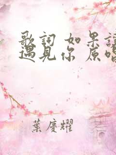 歌词 如果让我遇见你 原唱