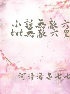 小说无敌六皇子txt无敌六皇子载