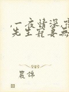,一夜情深,霍先生宠妻无度