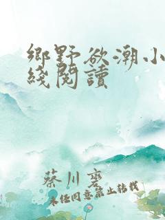 乡野欲潮小说在线阅读
