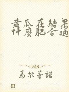 黄瓜在结果期施什么肥合适