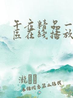 午夜精品一区二区在线播放