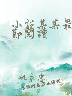 小说某某最新章节阅读