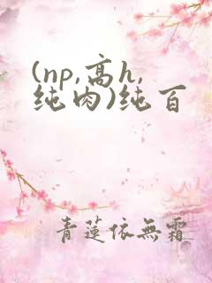 (np,高h,纯肉)纯百