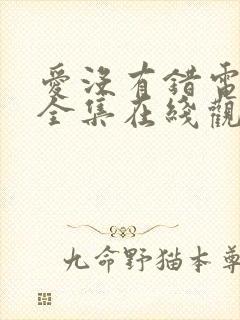 爱没有错电视剧全集在线观看免费