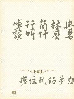 傅行简林冉的小说叫什么名字