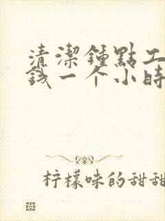 清洁钟点工多少钱一个小时