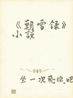《朝雪录》原著小说