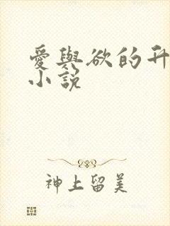 爱与欲的升华 小说