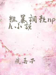 粗暴调教np高h小说