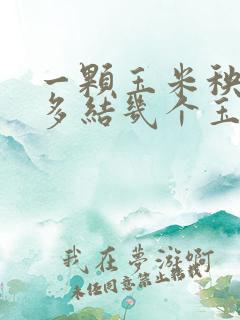 一颗玉米秧上最多结几个玉米