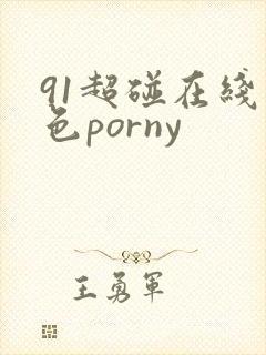 91超碰在线九色porny