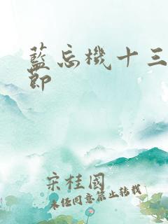 蓝忘机十三年情节