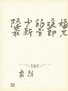陆少的暖婚新妻最新章节免费阅读