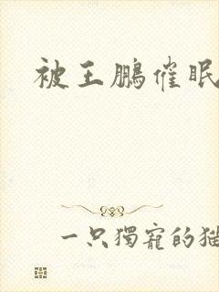 被王鹏催眠
