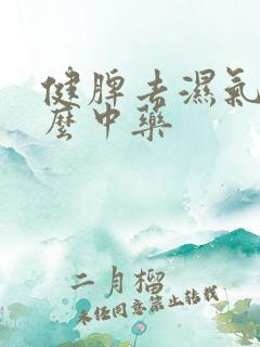 健脾去湿气吃什么中药