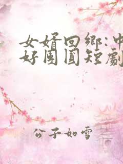女婿回乡:中秋好团圆短剧