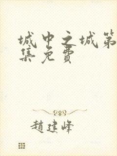 城中之城第40集免费