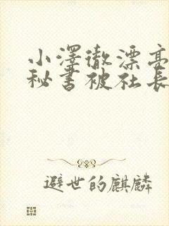 小泽彻漂亮人妻秘书被社长侵犯
