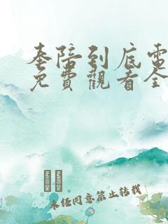 奉陪到底电视剧免费观看全集王阳