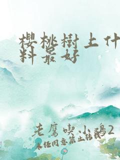 樱桃树上什么肥料最好