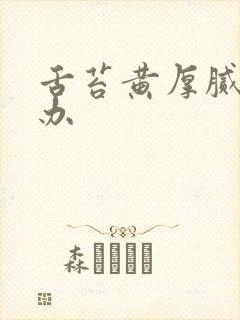 舌苔黄厚腻怎麽办