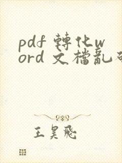 pdf 转化word 文档乱码了怎么办?