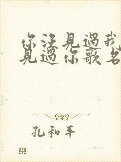 你没见过我我没见过你歌名