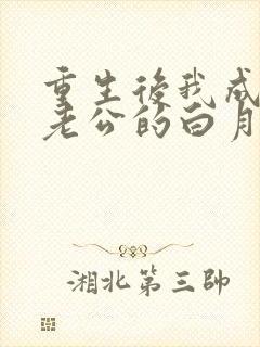 重生后我成了渣老公的白月光免费阅读