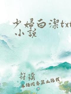 少妇白洁txt 小说