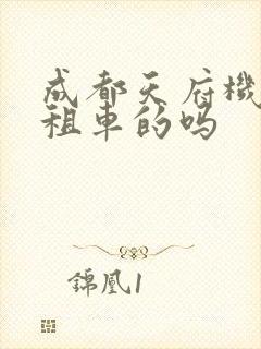成都天府机场有租车的吗