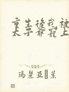 重生后我被京圈太子爷宠上天短剧免费