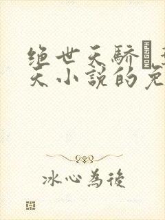 绝世天骄·叶凌天小说的免费阅读