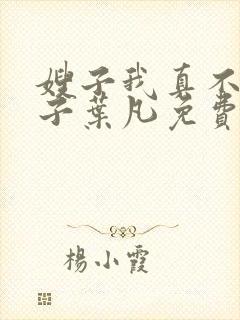 嫂子我真不是傻子叶凡免费